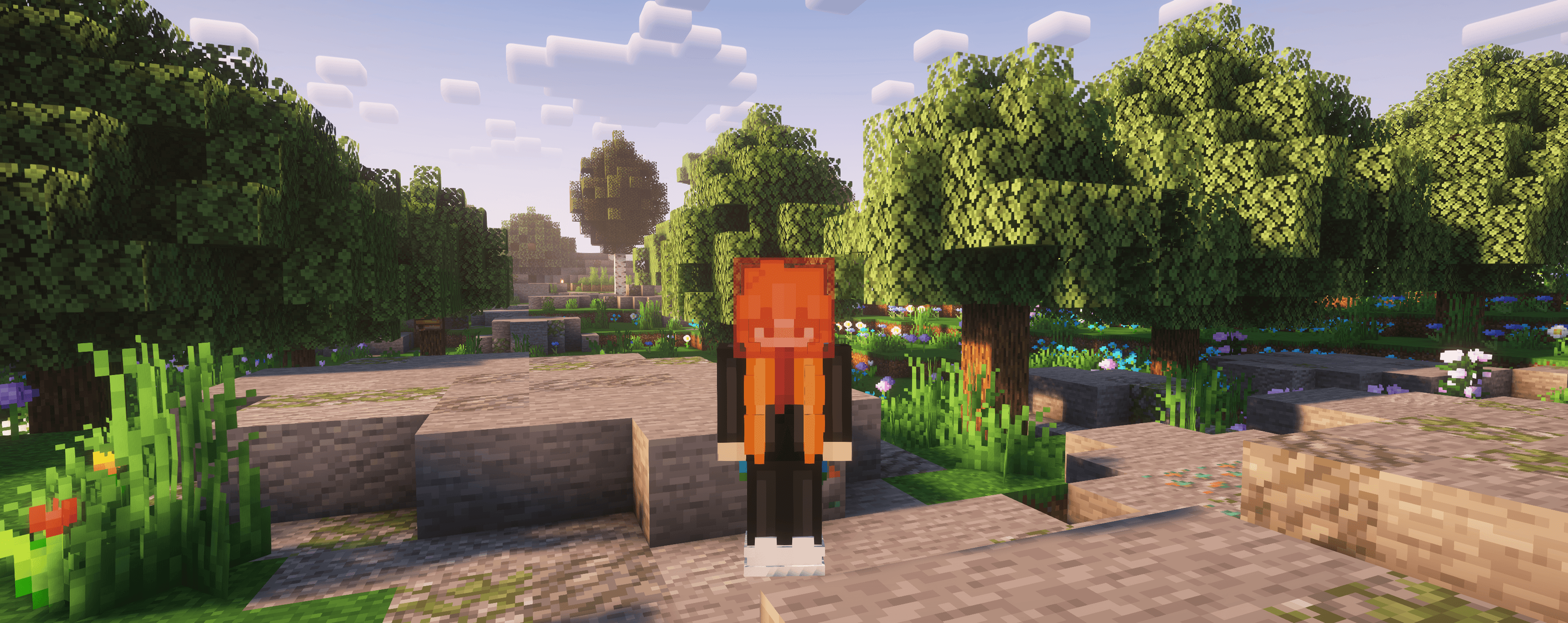 Wiki Shulker Image