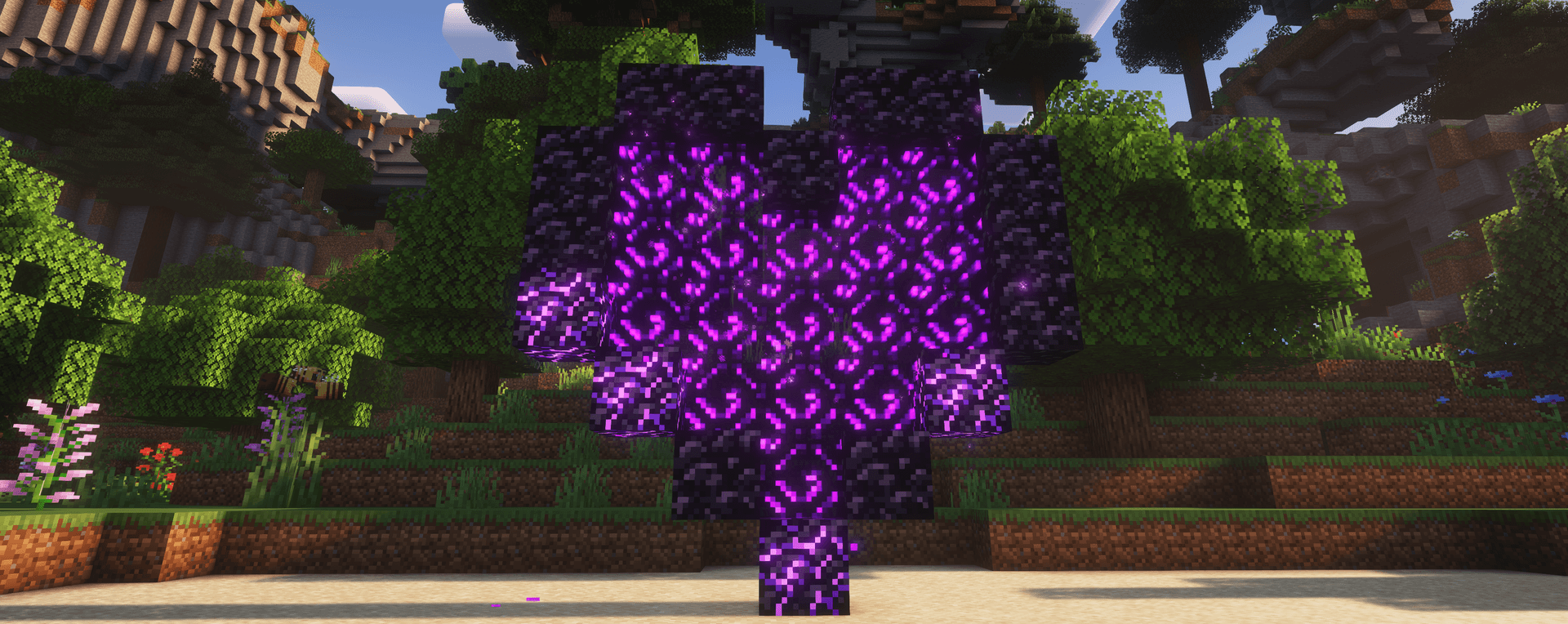 Wiki Shulker Image