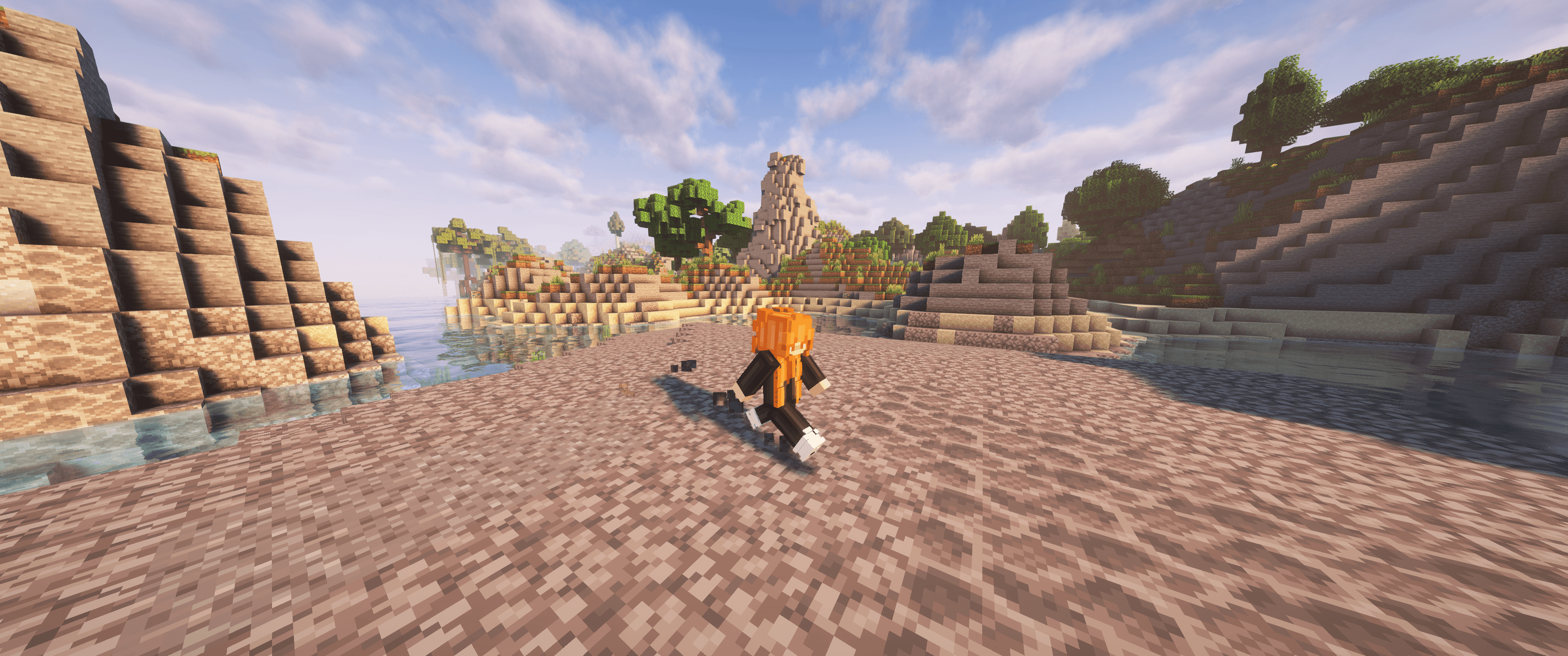 Wiki Shulker Image