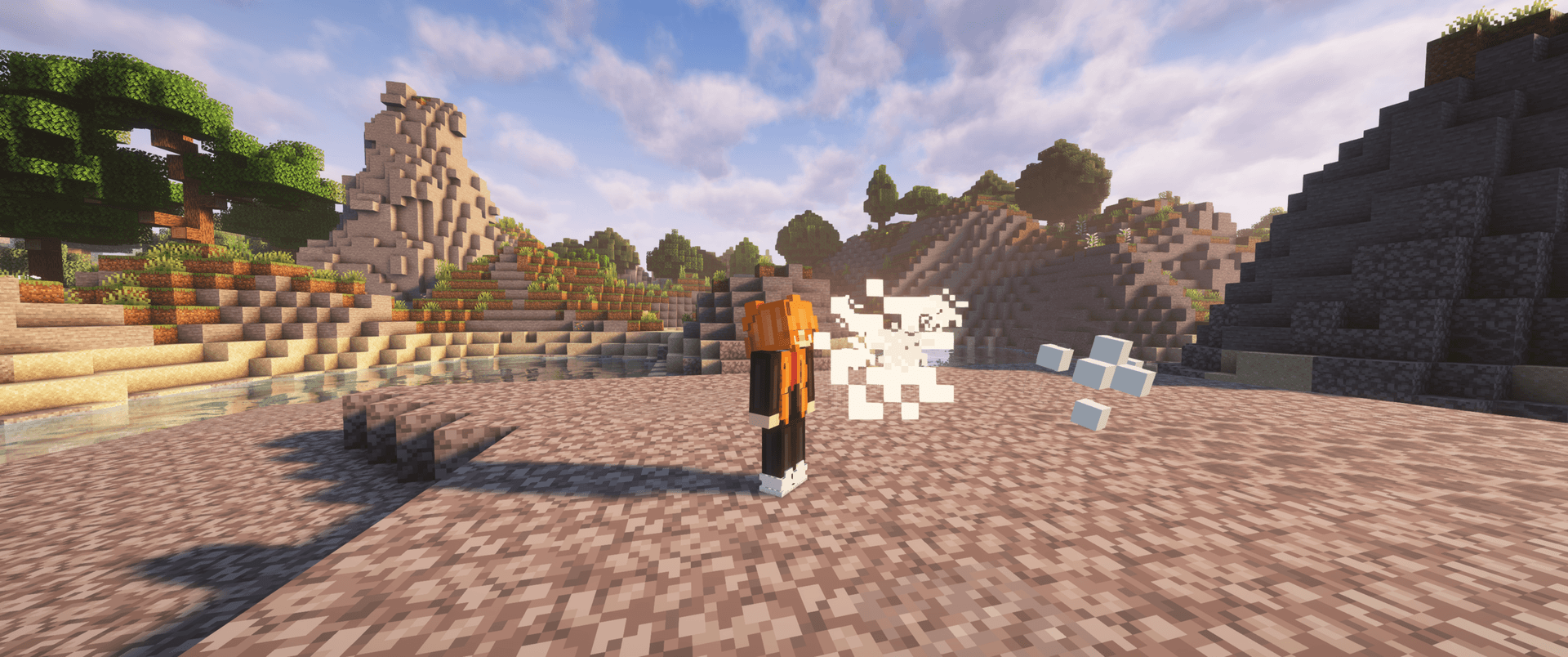 Wiki Shulker Image