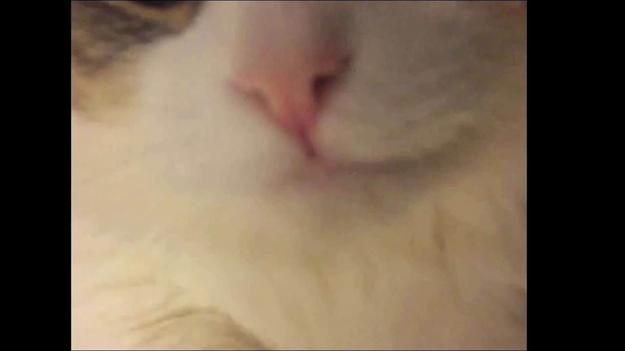 Смотреть на YouTube